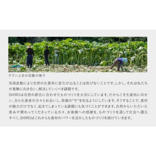 ふるさと納税 美容 北海道 足寄町  SHIRO ラワンぶきスキンケアキット 《足寄町》 洗顔 整肌 保湿 センシティブ BEAX009の画像