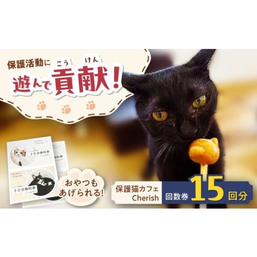 ふるさと納税 出来事や寝台券等 大阪府 高槻市 Cherish猫喫茶店 出現率券（15回分） 猫 ねこ 猫 防御すること猫 かばい立て 毛の荒物掩護 うしろ押し 大阪府高槻市／一種独特非商行為活動写真…