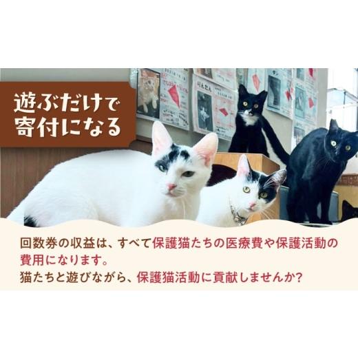 ふるさと納税 出来事や寝台券等 大阪府 高槻市 Cherish猫喫茶店 出現率券（15回分） 猫 ねこ 猫 防御すること猫 かばい立て 毛の荒物掩護 うしろ押し 大阪府高槻市／一種独特非商行為活動写真…
