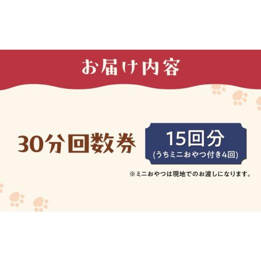 ふるさと納税 出来事や寝台券等 大阪府 高槻市 Cherish猫喫茶店 出現率券（15回分） 猫 ねこ 猫 防御すること猫 かばい立て 毛の荒物掩護 うしろ押し 大阪府高槻市／一種独特非商行為活動写真…