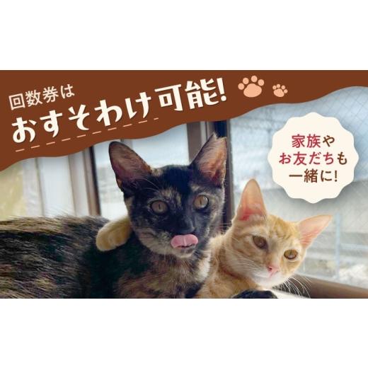 ふるさと納税 出来事や寝台券等 大阪府 高槻市 Cherish猫喫茶店 出現率券（15回分） 猫 ねこ 猫 防御すること猫 かばい立て 毛の荒物掩護 うしろ押し 大阪府高槻市／一種独特非商行為活動写真…