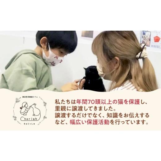 ふるさと納税 出来事や寝台券等 大阪府 高槻市 Cherish猫喫茶店 出現率券（15回分） 猫 ねこ 猫 防御すること猫 かばい立て 毛の荒物掩護 うしろ押し 大阪府高槻市／一種独特非商行為活動写真…