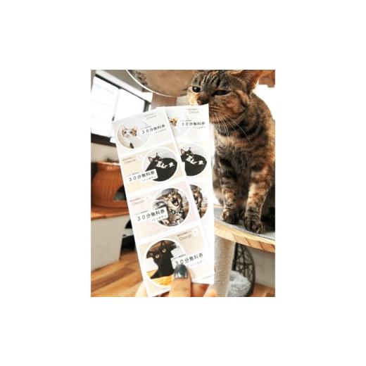 ふるさと納税 出来事や寝台券等 大阪府 高槻市 Cherish猫喫茶店 出現率券（15回分） 猫 ねこ 猫 防御すること猫 かばい立て 毛の荒物掩護 うしろ押し 大阪府高槻市／一種独特非商行為活動写真…