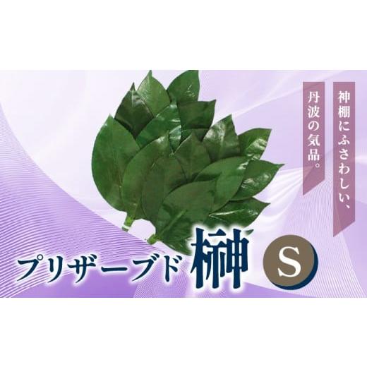 ふるさと納税 仏具・神具 兵庫県 芦屋市 プリザーブド 榊 Sサイズ(1対 2束) 天然 国産 サカキ 神棚 神具 祭壇 玉串 神事 仏壇 仏花 お供え お墓 お盆 お彼岸…