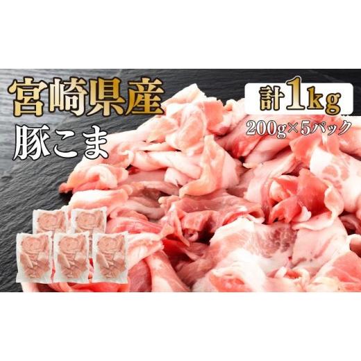 ふるさと納税 豚肉 炒め物 宮崎県 串間市 KU092-1 数量限定 宮崎県産豚こま切れ 計1kg(200g×5パック) 便利な個包装 KU092 200g×5パック (計1kg)