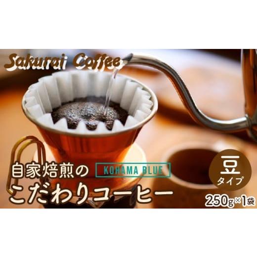 ふるさと納税 コーヒー コーヒー豆 沖縄県 竹富町 自家焙煎のこだわりコーヒー Kohama Blue 豆 Sakurai Coffee 中深煎り 250g×1 豆