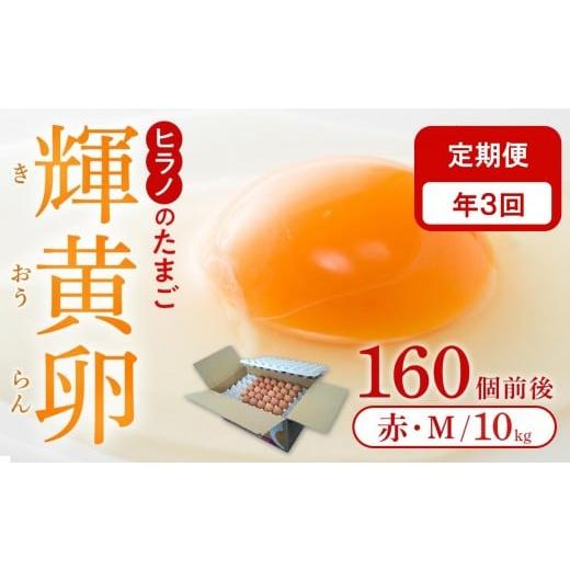 ふるさと納税 卵(鶏、烏骨鶏等) 福岡県 筑前町 定期便3回 ヒラノのたまご 輝黄卵(きおうらん) 赤Mサイズ10kg(160個前後) 卵 たまご タマゴ 国産 新鮮 直送 …