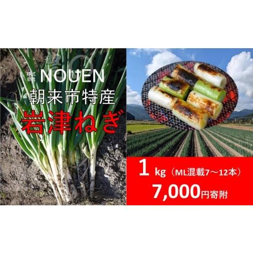 ふるさと納税 野菜類 ねぎ 兵庫県 朝来市 朝来市特産 岩津ねぎ 1kg &lt;太さにより7〜12本&gt; MLサイズ混在 希少 栄養豊富 期間限定 甘い 太い 柔らかい すき…