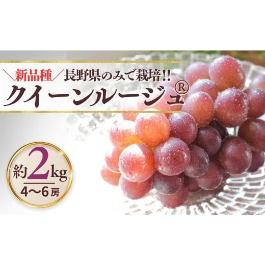 ふるさと納税 ぶどう マスカット 長野県 千曲市 2026年先行予約 クイーンルージュ? 約2kg(4~6房) 最低1.8kg以上| 果物 フルーツ 赤ぶどう 葡萄 ブドウ 種…