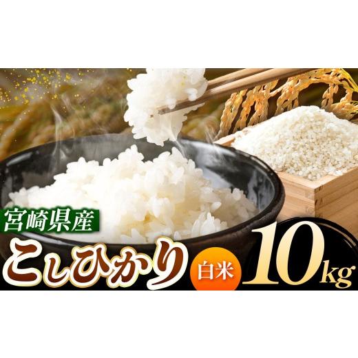 ふるさと納税 米 コシヒカリ 宮崎県 五ヶ瀬町 令和7年産 こしひかり 10kg (白米) 宮崎県産 | 米 こめ お米 おこめ 精米 白米 宮崎県 五ヶ瀬町 こしひかり(白…