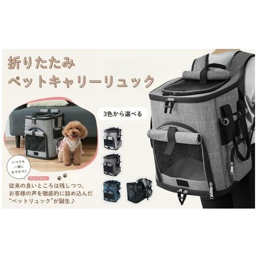 ふるさと納税 カバン リュック 奈良県 奈良市 ペットキャリーバッグ ライトグレー [ライズクリエイション @Rise] ペットキャリーリュック ペットバッグ ペッ…