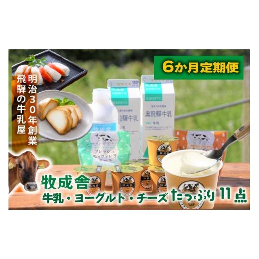 ふるさと納税 飲料類 牛乳 岐阜県 高山市 6か月定期便 飛騨乳製品バラエティセット 牛乳・ヨーグルト・チーズ詰め合わせ　11点セット｜乳製品 習慣 詰合せ 家…_1