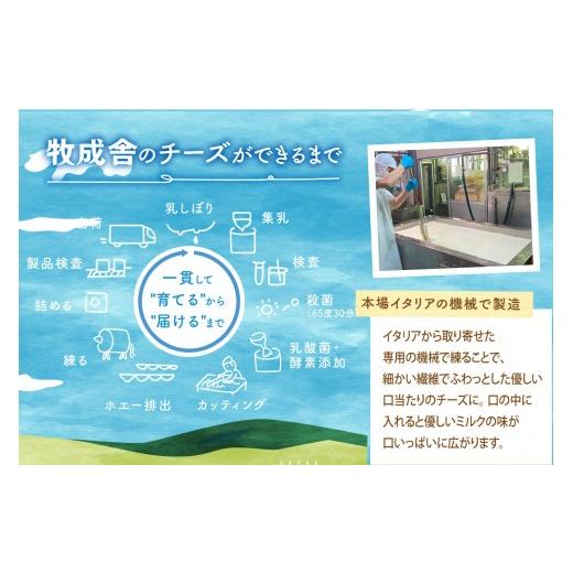 ふるさと納税 飲料類 牛乳 岐阜県 高山市 6か月定期便 飛騨乳製品バラエティセット 牛乳・ヨーグルト・チーズ詰め合わせ　11点セット｜乳製品 習慣 詰合せ 家…_7
