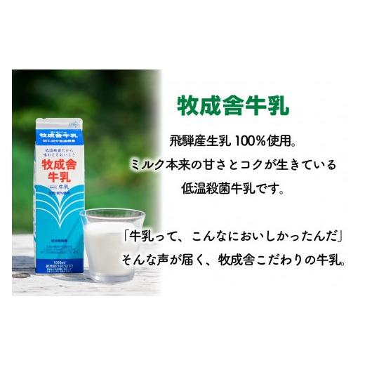 ふるさと納税 飲料類 牛乳 岐阜県 高山市  定期10か月便 牧成舎の牛乳・のむヨーグルト・モッツァレラセット（全3品）DF254の画像
