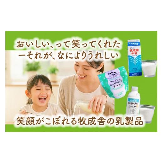 ふるさと納税 飲料類 牛乳 岐阜県 高山市  定期10か月便 牧成舎の牛乳・のむヨーグルト・モッツァレラセット（全3品）DF254の画像