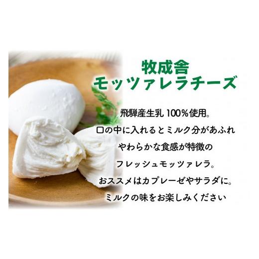 ふるさと納税 飲料類 牛乳 岐阜県 高山市  定期10か月便 牧成舎の牛乳・のむヨーグルト・モッツァレラセット（全3品）DF254の画像