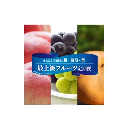 ふるさと納税 もも 岡山県 津山市  発送月固定定期便 桃、ぶどう、梨の最上級品を旬の時期にお届け 果樹園の厳選セット(岡山県産)全3回_桃 ぶどう 梨 食べ比べ…_1