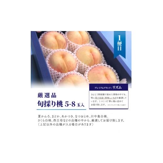 ふるさと納税 もも 岡山県 津山市  発送月固定定期便 桃、ぶどう、梨の最上級品を旬の時期にお届け 果樹園の厳選セット(岡山県産)全3回_桃 ぶどう 梨 食べ比べ…_2