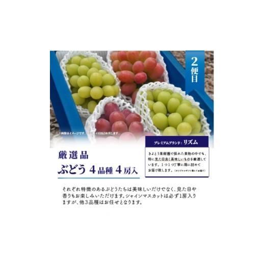 ふるさと納税 もも 岡山県 津山市  発送月固定定期便 桃、ぶどう、梨の最上級品を旬の時期にお届け 果樹園の厳選セット(岡山県産)全3回_桃 ぶどう 梨 食べ比べ…_3