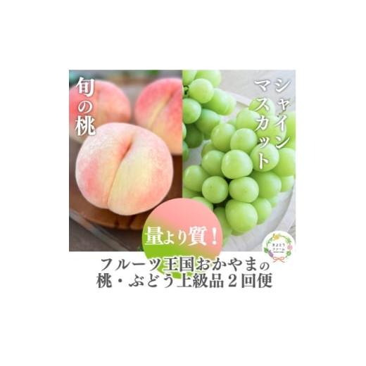 ふるさと納税 もも 岡山県 津山市 発送月固定定期便 2026年先行予約 桃とシャインマスカット どっちも食べたい便(岡山産)全2回 4063160