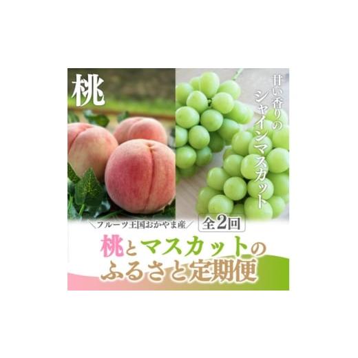 ふるさと納税 もも 岡山県 津山市 発送月固定定期便 2026年先行予約 桃とシャインマスカットが産地直送 ご家庭用定期便全2回 4065365