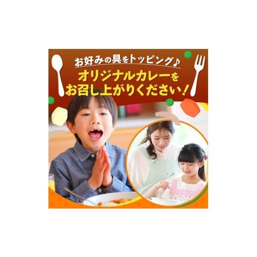 ふるさと納税 加工品等 レトルト 栃木県 矢板市  定期便3回 一番人気 ココイチ カレー Bセット（ビーフ・ポーク各5個 定番） (毎月お届け）｜カレー CoCo壱番…の画像