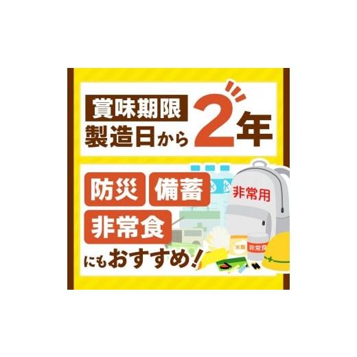 ふるさと納税 加工品等 レトルト 栃木県 矢板市  定期便3回 一番人気 ココイチ カレー Bセット（ビーフ・ポーク各5個 定番） (毎月お届け）｜カレー CoCo壱番…の画像