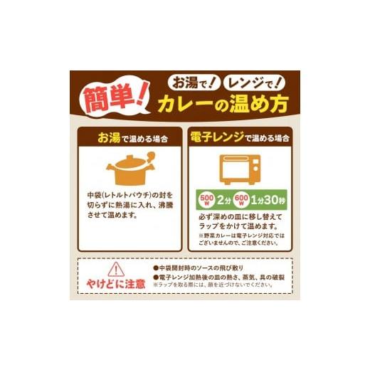 ふるさと納税 加工品等 レトルト 栃木県 矢板市  定期便3回 一番人気 ココイチ カレー Bセット（ビーフ・ポーク各5個 定番） (毎月お届け）｜カレー CoCo壱番…の画像