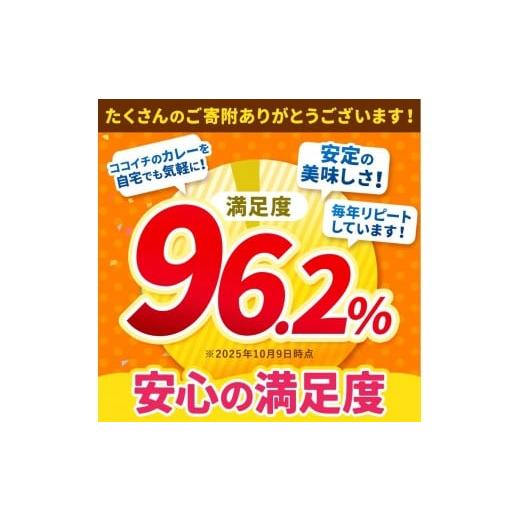 ふるさと納税 加工品等 レトルト 栃木県 矢板市 ココイチ カレー Jセット (甘口ポーク30個) ｜カレー CoCo壱番屋 常温保存 非常食 簡単 時短 自宅用 キャンプ …の画像
