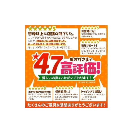 ふるさと納税 加工品等 レトルト 栃木県 矢板市 ココイチ カレー Jセット (甘口ポーク30個) ｜カレー CoCo壱番屋 常温保存 非常食 簡単 時短 自宅用 キャンプ …の画像