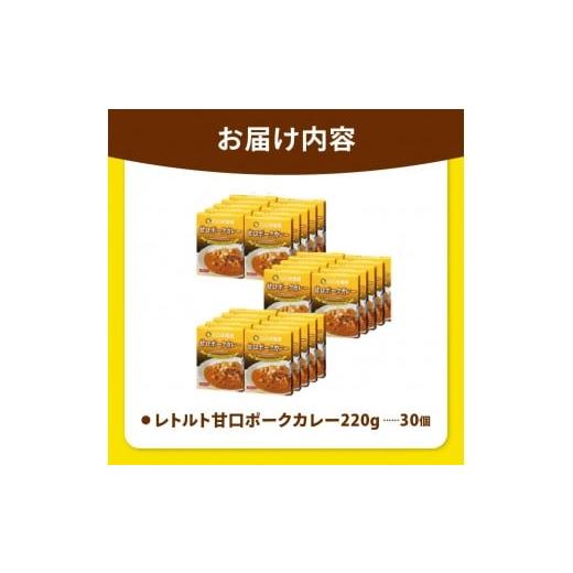 ふるさと納税 加工品等 レトルト 栃木県 矢板市 ココイチ カレー Jセット (甘口ポーク30個) ｜カレー CoCo壱番屋 常温保存 非常食 簡単 時短 自宅用 キャンプ …の画像