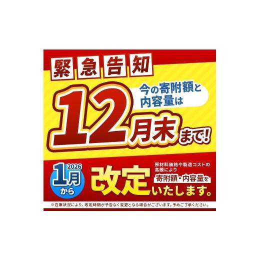 ふるさと納税 加工品等 レトルト 栃木県 矢板市  定期便3回 ココイチ カレーMセット （ポーク10個） (毎月お届け）｜カレー CoCo壱番屋 常温保存 非常食 簡単 …の画像