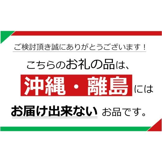 ふるさと納税 果汁飲料 りんご 栃木県 矢板市  定期便12回 栃木県矢板市産 樹上完熟100％りんごジュース 720ml×12本入 | 林檎 リンゴ 果汁100% 産地直送 (毎…の画像