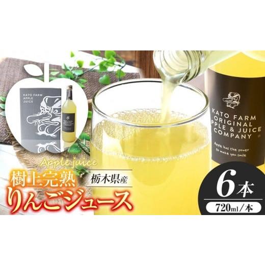 ふるさと納税 果汁飲料 りんご 栃木県 矢板市 栃木県矢板市産 樹上完熟100%りんごジュース 720ml×6本入 | 林檎 リンゴ 果汁100% 産地直送 単品 720ml×6本入…