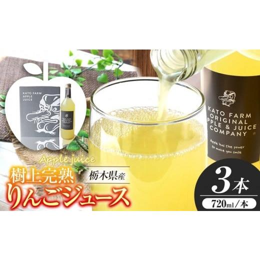 ふるさと納税 果汁飲料 りんご 栃木県 矢板市 栃木県矢板市産 樹上完熟100%りんごジュース 720ml×3本入 | 林檎 リンゴ 果汁100% 産地直送 単品 720ml×3本入