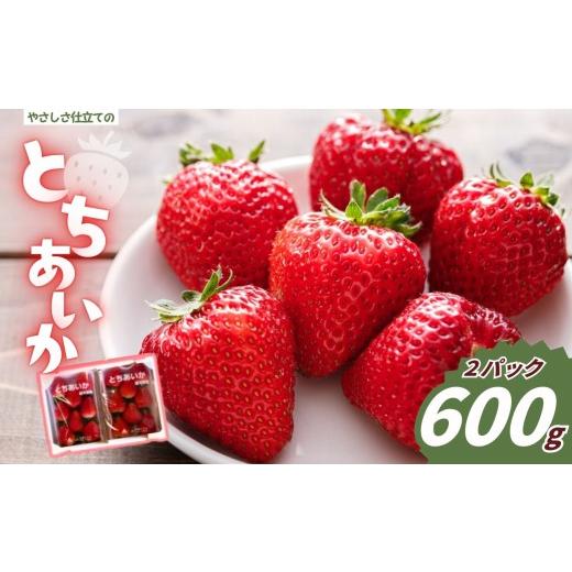 ふるさと納税 いちご 栃木県 矢板市 やさしさ仕立ての とちあいか 300g×2P 2027年先行予約 栃木県 矢板市 300g×2P | 10,000円