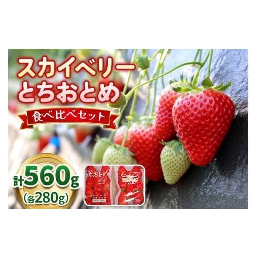 ふるさと納税 果物類 栃木県 矢板市 スカイベリー×とちおとめ 食べ比べセット 560g[12月中旬〜4月の期間で発送]澳原いちご農園 | いちご 苺 イチゴ フルー…