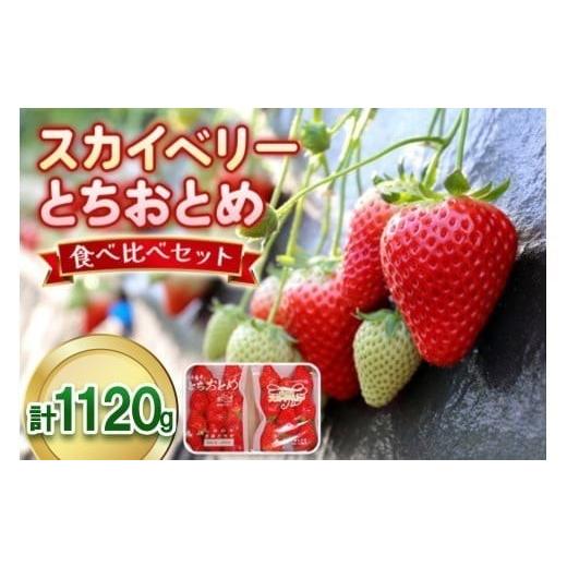 ふるさと納税 果物類 栃木県 矢板市 スカイベリー×とちおとめ 食べ比べセット 1,120g (560g×2) [12月中旬〜4月の期間で発送]澳原いちご農園 | いちご 苺 …