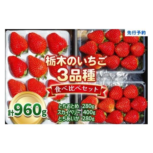 ふるさと納税 いちご 栃木県 矢板市 いちご3品種 食べ比べセット 960g(とちあいか・スカイベリー・とちおとめ)