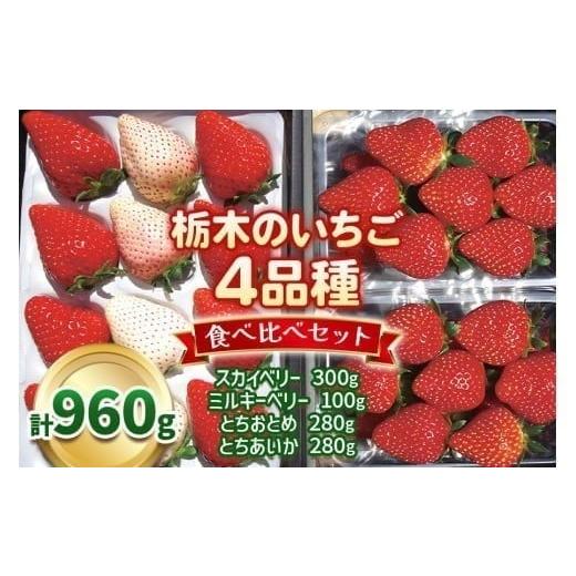 ふるさと納税 いちご 栃木県 矢板市 2月以降発送 いちご4品種 食べ比べセット 960g(とちあいか・とちおとめ・ミルキーベリー・ スカイベリー) 澳原いちご農…