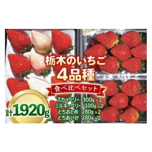 ふるさと納税 果物類 栃木県 矢板市 いちご4品種 食べ比べセット 1,920g (とちあいか・とちおとめ・ミルキーベリー・ スカイベリー) [1月〜4月の期間で発送…
