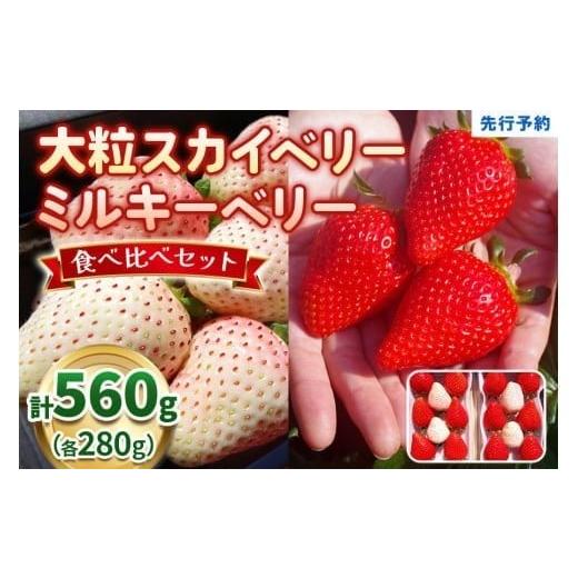 ふるさと納税 いちご 栃木県 矢板市 大粒スカイベリー 白いちごミルキーベリー 食べ比べセット 560g[12月中旬〜2月の期間で発送] 澳原いちご農園 | いちご …