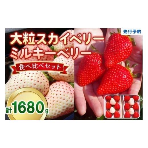 ふるさと納税 いちご 栃木県 矢板市 大粒スカイベリー 白いちごミルキーベリー 食べ比べセット 1,680g (560g×3)[12月中旬〜2月の期間で発送] 澳原いちご農…