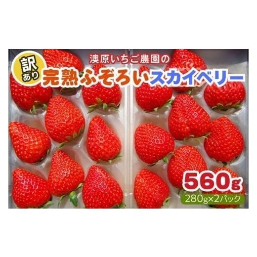 ふるさと納税 いちご 栃木県 矢板市 12月以降発送 訳あり粒不揃い スカイベリー 560g (280g×2P) 澳原いちご農園 | いちご 苺 イチゴ フルーツ 果物 産地直送…