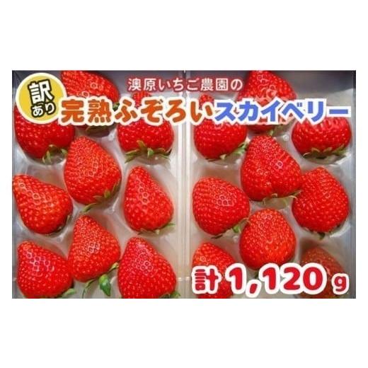 ふるさと納税 いちご 栃木県 矢板市 訳あり粒不揃い スカイベリー 1,120g (280g×4P) [1月上旬〜4月の期間で発送] 澳原いちご農園 | いちご 苺 イチゴ フル…