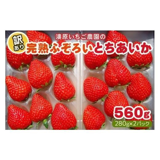 ふるさと納税 いちご 栃木県 矢板市 12月以降発送 訳あり粒不揃い とちあいか 560g (280g×2P) 澳原いちご農園 | いちご 苺 イチゴ フルーツ 果物 産地直送 …
