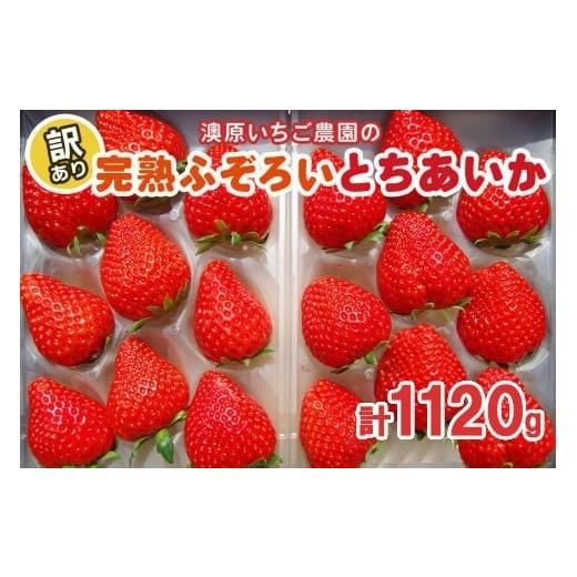 ふるさと納税 いちご 栃木県 矢板市 訳あり粒不揃い とちあいか 1,120g (280g×4P) [1月〜4月の期間で発送] 澳原いちご農園 | いちご 苺 イチゴ フルーツ 果…
