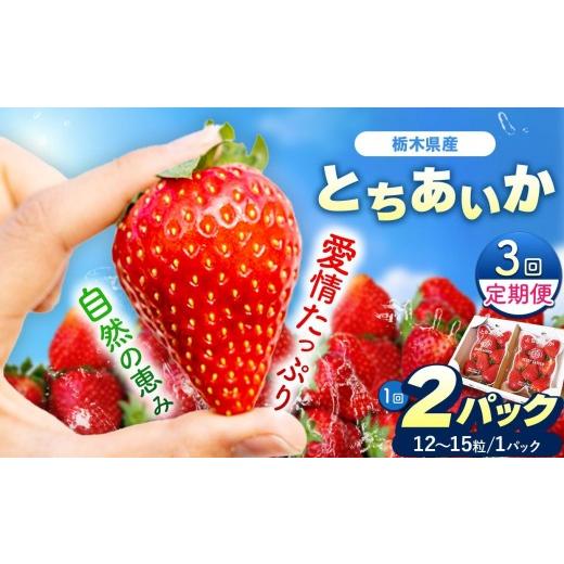 ふるさと納税 いちご 栃木県 矢板市 定期便3回 栃木県産 いちご とちあいか 12〜15粒 × 2P 先行予約 選べる発送月 定期便3回 (1月・2月・3月お届け)|栃木…