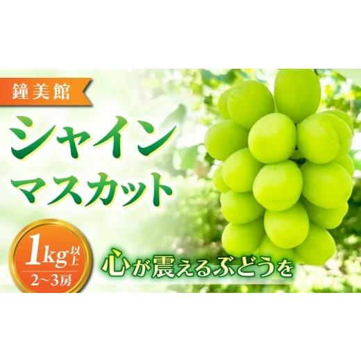 ふるさと納税 ぶどう マスカット 長野県 東御市 先行受付2026年発送 標高750mで育ったシャインマスカット1キロ以上(2〜3房)|鐘美館 2026年10月上旬以降…