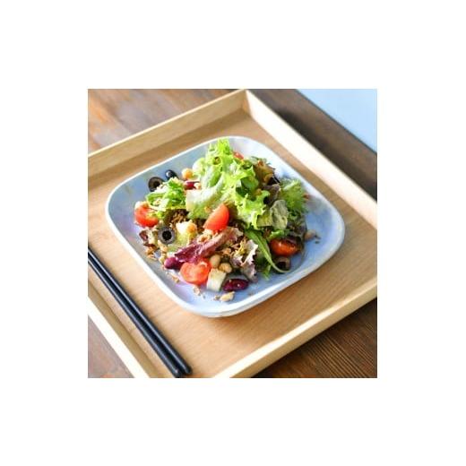 ふるさと納税 食器・グラス 皿 福島県 会津美里町  会津本郷焼 角皿 2枚セット 陶器 磁器 食器 ペア 平皿 プレート パスタ皿 酔月窯_2